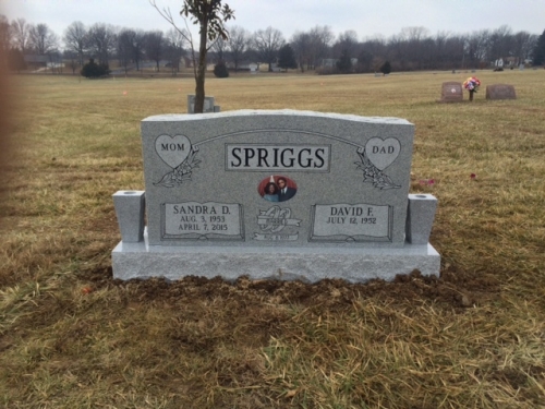 15-SPRIGGS