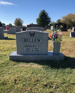 BELLEW