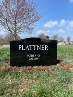 PLATTNER BACK