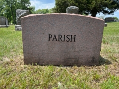 FRISBIE BACK CLEANING