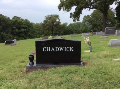 CHADWICK BACK