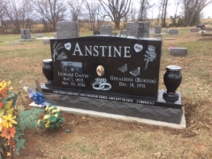 ANSTINE