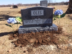 OLES