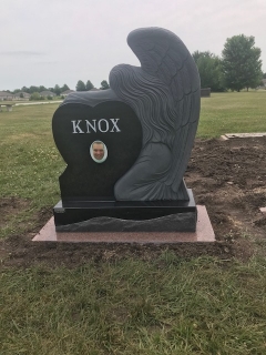 KNOX BACK