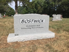 BOSTWICK BACK