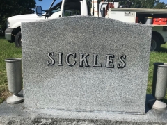 SICKLES REPAINT BACK