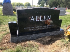ALLEN BACK