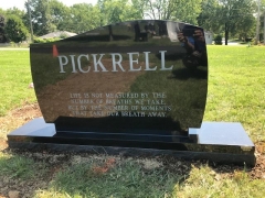 PICKRELL BACK