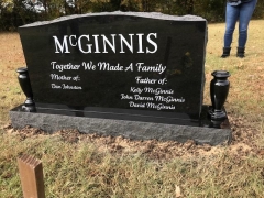 McGINNIS