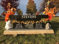 Stevens