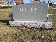 Bullock Back