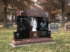 DAVIS
