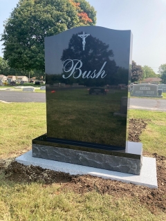 BUSH BACK