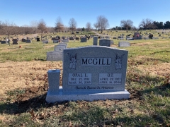 MCGILL