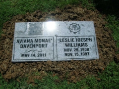 Davenport and Williams