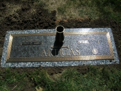 Artigas