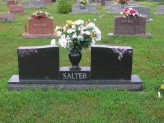 Salter 4