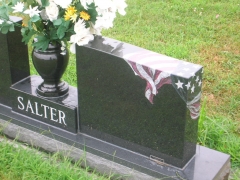 Salter 3