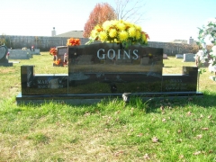 Goins 1