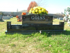Goins 1