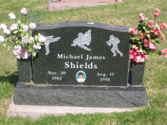 Shields