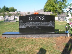 Goins