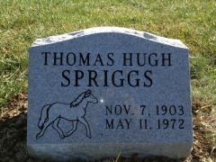 Spriggs