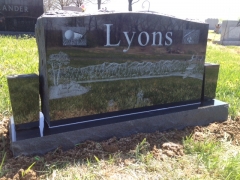 Lyons Back