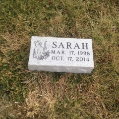 SARAH