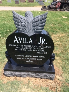 AVILA BACK