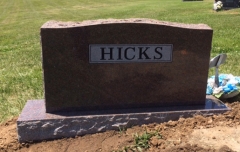 HICKS BACK