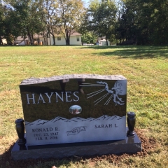 HAYNES