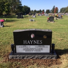 HAYNES