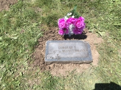 FRISBIE AFTER CLEANING