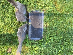 FRISBIE BEFORE CLEANING