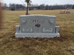 SPRIGGS