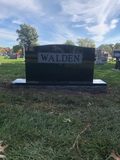 WALDEN BACK