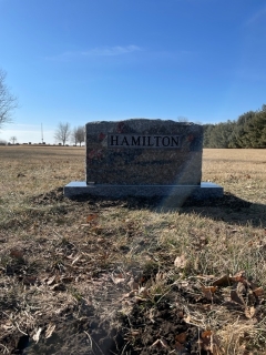 HAMILTON BACK