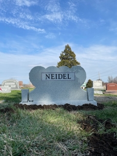 NEIDEL BACK