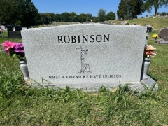 ROBINSON REPAINT BACK AFTER