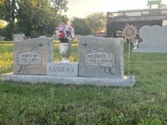 GUDEAS D.A.R. EMBLEM MOUNTED