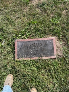 TURNAGE CLEANING BEFORE