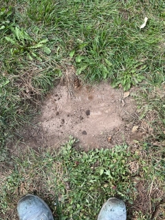 WILLIS RELEVEL BEFORE