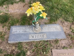 WHITE FINAL DATE