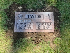 TAYLOR