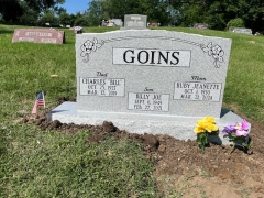 GOINS