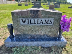 WILLIAMS BACK