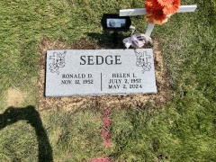 SEDGE