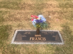 FRANCIS VASE REPLACEMENT