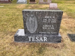TESAR